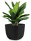 Konzept 11 - Pot de Fleurs d'Intérieur et d'Extérieur 4l, Jardinière carrée en Plastique avec Soucoupe (Réservoir d'eau) Grise 19.3x19.3x17cm - Différentes Couleurs et Tailles du Bac