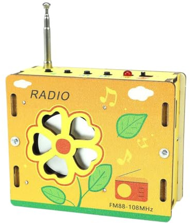 Kit Radio da Costruire Giocattoli Scientifici Educativi