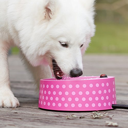 Petfactors Heated Pet Bowl, Outdoor Pet Thermal Water Bowl, Dog Cat Heated Water Bowl with 69 Inch Chew Resistant Cord and Waterproof ON/Off Switch (New Polkadots)