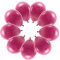 10 Luftballons Pastell Weinrot Eco Ballons Dunkelrot Made in EU Deko Hochzeit Party Valentine Geburtstag Ballons Pastell Dunkelrot Ballon Bordeaux