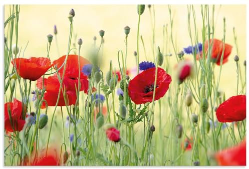 ARTland Wanddeko Wandbild Alu Verbundplatte für Innen & Outdoor Bild 60x40 cm Pflanzen Blumen Mohn Mohnblumen Kornblumen Blumenwiese Sommer U4YP