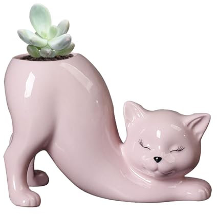 Katzen-Übertopf – Sukkulenten-Blumentopf, lustige Blumentöpfe, Tier-Pflanzgefäß, Pflanzgefäß, Tier- -Statue, moderne Skulptur, Figur, Sukkulentententier-Tiertopf für Zuhause, Garten, Hochzeit,
