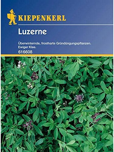 Luzerne Gründünger Portion