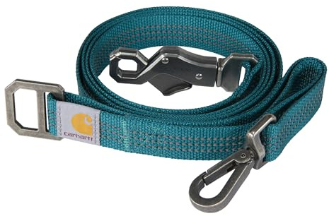 Carhartt Pet Durable Nylon Gurtband Leinen für Hunde, reflektierende Nähte für Sichtbarkeit, schattierte Fichte, groß