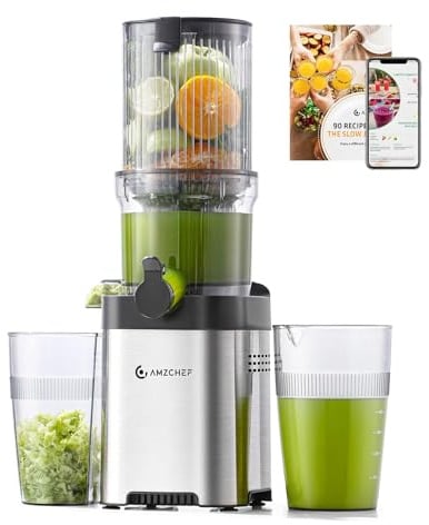 AMZCHEF Entsafter - Slow Juicer mit 120MM Breite und Größere Einfüllschacht für Ganze Gemüse und Obst - Leicht zu Reinigender Entsafter mit 2 Gläsern - Silbrig