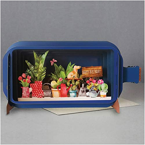 Alljoy Design Message in A Bottle 3D Pop Up Greeting Card - Dog and Flowers,blue|grey