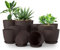Utopia Home Confezione da 10 vasi 18/17/15/13/12 cm Fioriera con sottovaso Per cucina, balcone, piante da giardino, vasi da vivaio per interni Marrone.