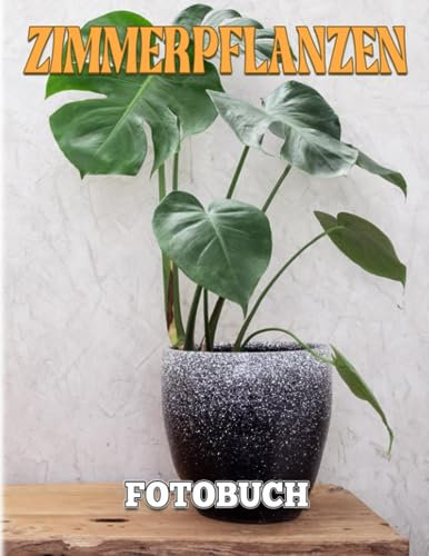 Zimmerpflanzen FOTOBUCH: Die besten Zimmerpflanzen für jeden Raum | Wunderbare 40+ Illustrationsseiten als Geschenk zur Entspannung und Dekoration