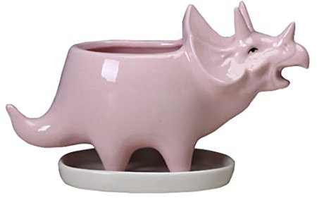 Kalastussaari Succulent Plante Pots Dinosaur Planter Planter avec Plateau Migne Cerceratops Triceratops Animal Flower Cactus, Succulent Planter