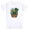 Pampling T-Shirt mit kurzen Ärmeln, aus 100% Baumwolle, Unisex Bekleidung mit originellen Motiven in 5 Größen, T-Shirt Weiß, Modell Soft Hugs (M)