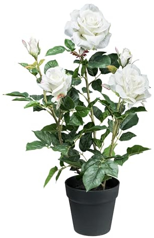 CREATIV green künstlicher Rosenbusch 58cm mit weißen Rosenblüten im Topf mit Erde I künstlicher Rosenstock I Rose im Topf I Kunstbäumchen für Innen I hochwertige & dekorative Dekopflanze