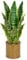 Oairse Plante serpent artificielle de 44 cm dans des pots en métal doré - Plantes artificielles décoratives en pot - Plantes artificielles d'intérieur pour la maison, la salle de bain, la cuisine, la