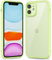 oakxco Coque Ultra-Fine pour iPhone 11, Matière Plastique Hybride Transparente et Caoutchouc Silicone Souple Bumper, Slim Minimaliste Anti-Jaunissement Protection Case, Vert Menthe
