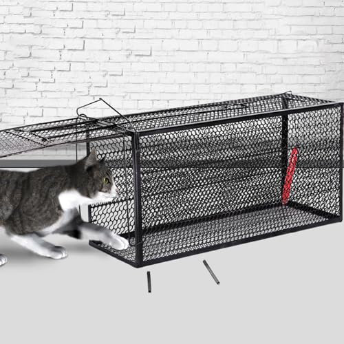 Pgkog Katzenfalle, Fuchsfalle, Katzenfalle für Streunende Katzen, Geeignet für Tierhandlungen, Um Haustieren Beim Heim- und Baden Zu Helfen