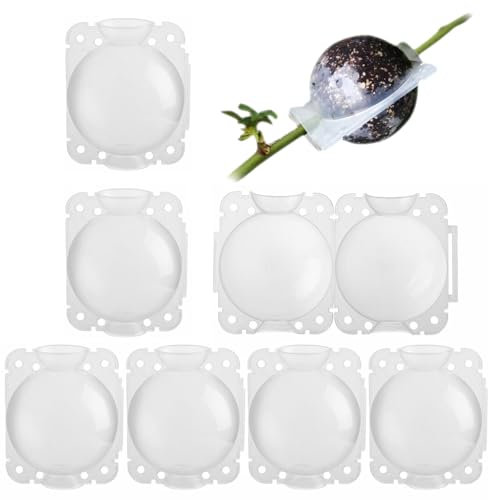 Tkxjry 6 Stücke Wachstumsbox für Indoor Outdoor, 8CM Pflanzenwurzel Wachstumsbox, 250 ml Pflanzenwurzelgerät, Wachstumsbox Plant Rooting Ball, Pflanzenwurzelkugeln, Für Gartenpfropfung Wurzelbildung
