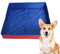 Bassin de Baignade pour Animaux, Bassin PVC Pliable pour Nage Canine, Bassin Antidérapant pour Chiots Jardin Maison Extérieur avec Fond Rigide