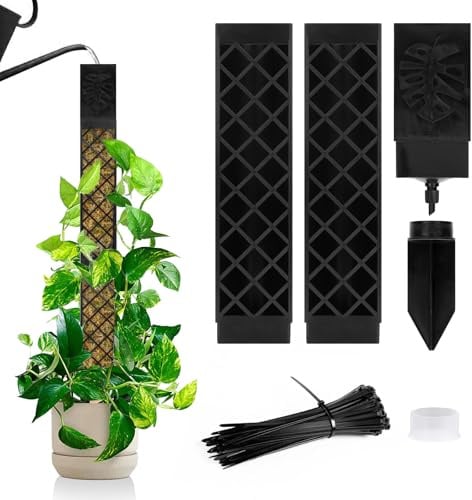 LangRay Moosstab für Monstera Rankhilfe Zimmerpflanzen, 2x25cm Selbstbewässernd Moosstäbe aus Kunststoff Stab Rankhilfen für Kletterpflanzen Pflanzstab Pflanzenstütze Kletterhilfe Moss Pole