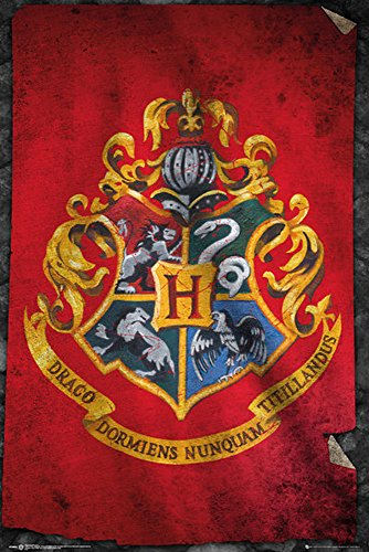 Harry Potter - Hogwarts Flag - Film Fantasy Familie Kino Poster Druck - Grösse 61x91,5 cm