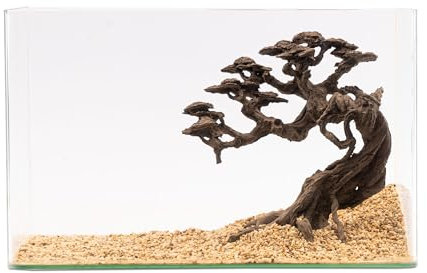 NatureHolic Stone Bonsai Kengai | Premium Scape für Aquarien | Mittelgroßer Bonsai-Baum aus Stein | Perfekt für Moos | Ideal für Aquarium 30-60 L | 24 x 25 x 10cm