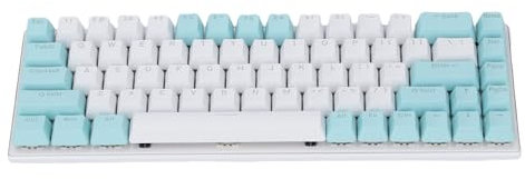 Annadue 60% Clavier de Jeu Mécanique RVB rétro-éclairé Interrupteur Bleu 68 Touches de Conception Ergonomique Filaire avec Double Couleur Keycaps pour PC Portable Gaming (Vert Blanc)