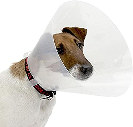 Croci - Elisabethanisches Halsband für Hunde Größe XXL, kegelförmiges Elisabethanisches Halsband zum Schutz und zur Pflege von Hunden und Katzen, verhindert Kratzer, Bisse und Lecken, 30 cm