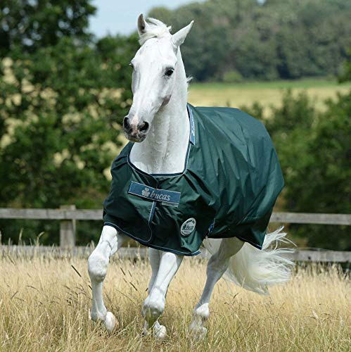 Bucas Green-Line Turnout 135 Pferdedecke 100g, Green