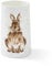 Wrendale Designs - 'Daisy' Vase