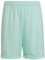 adidas Unisex Kinder Entrada 22 Shorts, Clear Mint, 11-12 Years