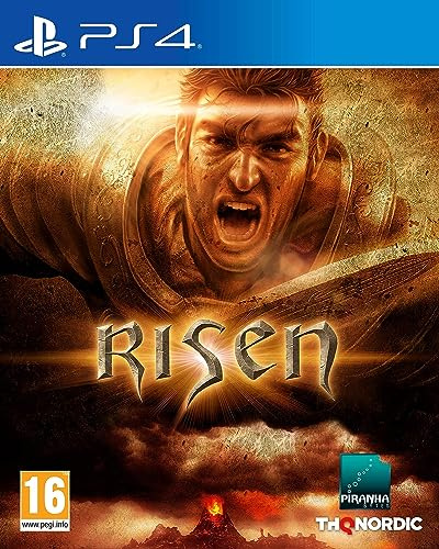 THQ NORDIC Risen (Playstation 4)