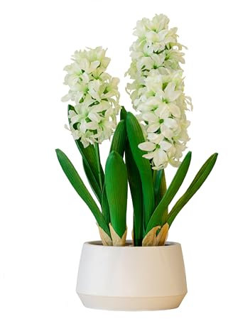 365 Blooming Decor 16 inch Tall White Potted Faux Hyacinth Flower Plant with River Stone-Luxury Artificial Garden Hyacinth for Home, Office Decoration, Housewarming