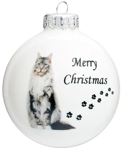 SIKORA Katze Weihnachtskugel aus Glas mit detailreichem Print Motiv besonderer Christbaumschmuck Ornament Figur Katzen Motive, Bedruckte Kugeln:Maine Coon Katze Kugel (K014)