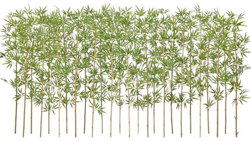 VeriNatural Fake Bamboo Plant - 180cm Tall Artificial Tree with Natural Poles & Faux Leaves, UV Resistant - Decorative Large Indoor & Outdoor Plant for Home, Office, Living Room,Garden 24PCS,VN144