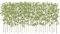 VeriNatural Bambou Artificiel 180cm-Grande Plante Artificielle, Arbre Artificiel Intérieur et Extérieur, Vrai Tronc Naturel, Résistant aux UV-Fausse Plante pour Décoration Bureau, Jardin 24PCS,VN144