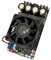 DIGNIFE Verstärker, 2 * 300W TPA3255 Stereo Digital Verstärker Board High Power BTL Mono 600W Audio AMP