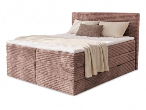 Sofnet Boxspringbett Mollo XL mit 2 Bettkästen und Topper, mit Taschenfederkern- und Bonellfederkernmatratze, Doppelbett, Polsterbett aus Cordstoff mit Stauraum (Braun (Tilia 17), 180 x 200 cm)