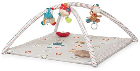 Foppapedretti Trainer Palestrina, Circus