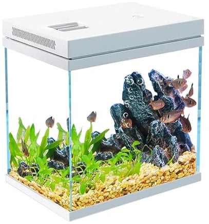 Craftsboys 16L Fish Tank, Nano Glass Aquarium, Upgrade Filter system and LED Light, for Freshwater & Marine, Filter Balls Included (White, 16L)