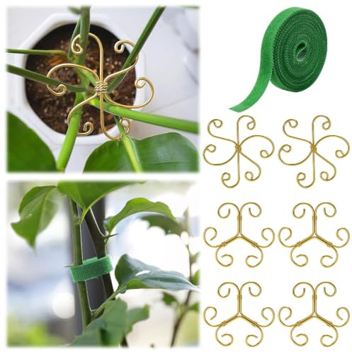 Lyinton 6 Pcs Support de Tige de Plante, Support pour Feuilles de Monstera | Tuteurs pour Plantes d'Intérieur, Plantes Vivaces et Fleurs, Tuteurs pour Plantes d'Intérieur, Plantes Vivaces et Fleurs