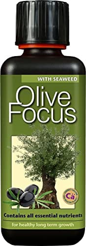 Fertilizzante liquido concentrato Olive Focus 300ml