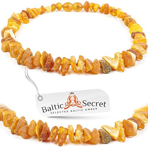 Bernsteinkette Hund | Bernsteinhalsband für Hunde und Katzen | Hundehalsband I Natürliches Halsband Hund aus echt Bernstein (54 cm)