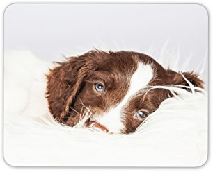Destination Vinyl Ltd Springer Spaniel Puppy Mouse Mat Pad - Dog Dogs Mum Sister Gift Computer #8672