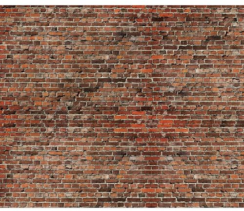 decomonkey - Papier Peint Panoramique Pierre Optique 350x256 cm - Décoration murale moderne – Tapisserie décorative pour chambre salon - Texture de pierre modèle rouge brique