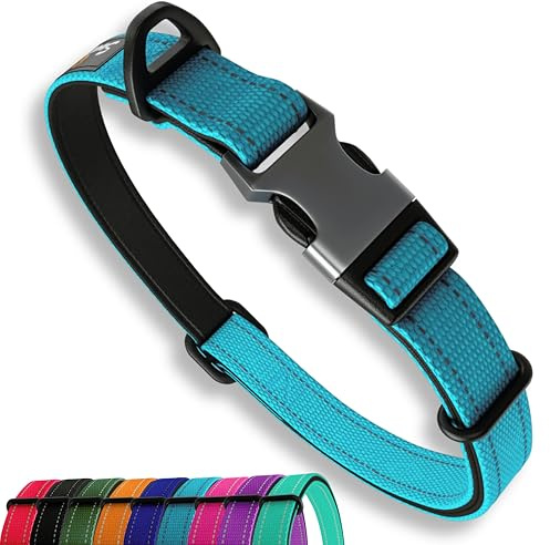 Blue Dog Collar Medium Dogs – Strong Reflective Adjustable Padded Dogs Collars - Aluminium V-ring Dog Safety