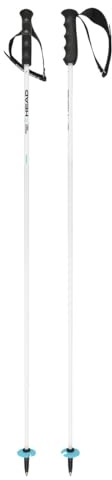 HEAD Unisex-Adult Worldcup Rebels Carbon Skistöcke