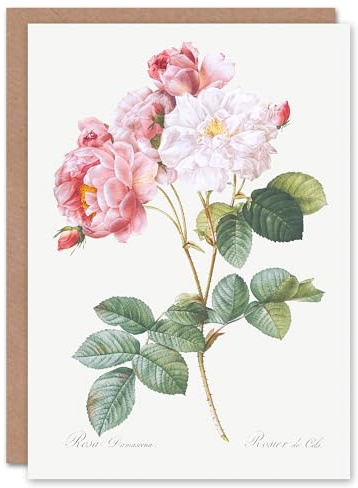 Artery8 Pierre-Joseph Redouté Art Card Vintage Pink Rosebush Flowers Illustration