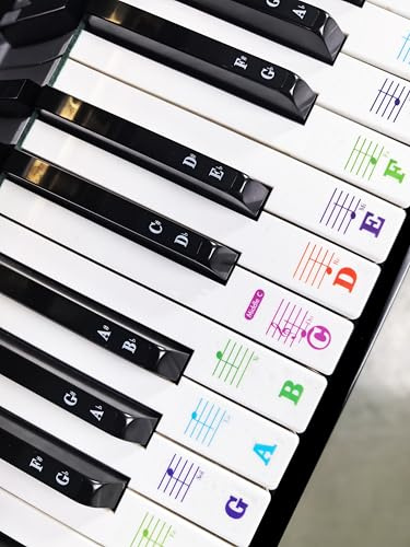 YPTSYSYS Multicoloured Piano Keyboard Stickers for 88/76/61/54/49/37 Key, Bold Large Letter, Removable, Waterproof, Plastic, Musical Notes(Staff Paper)