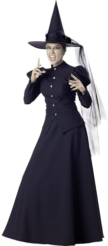 InCharacter Wretched Witch Adult Costume, Large