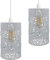 DC VOLTAGE Vintage Cage Metal Lamp Shade, Industrial Metal Cage Light DIY Ceiling Pendant Lights for Dining Room,Bedroom, Loft Hallway (White 2 Pack)