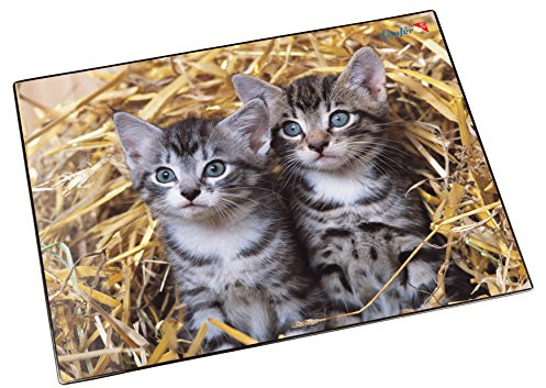Läufer 46637 Schreibtischunterlage Katzen im Stroh, 53x40 cm, rutschfeste Schreibunterlage für Kinder, Zubehör für Kinderschreibtisch, mit transparenter Seitentasche