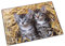 Läufer 46637 Schreibtischunterlage Katzen im Stroh, 53x40 cm, rutschfeste Schreibunterlage für Kinder, Zubehör für Kinderschreibtisch, mit transparenter Seitentasche